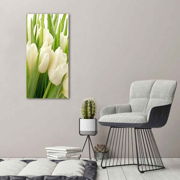 Akrilkép Fehér tulipán