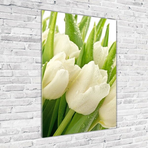 Akrilkép Fehér tulipán