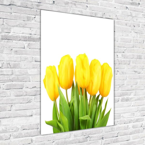 Akrilkép Sárga tulipánok