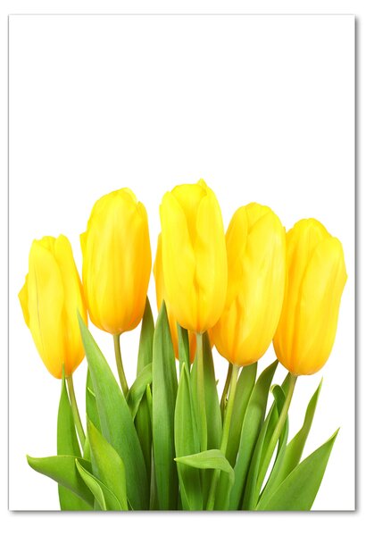 Akrilkép Sárga tulipánok