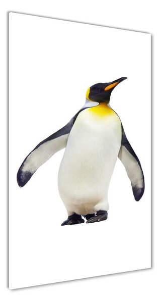 Üvegkép Pingvin