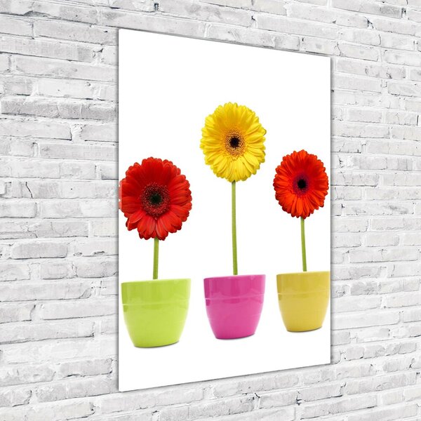 Egyedi üvegkép Színes gerbera