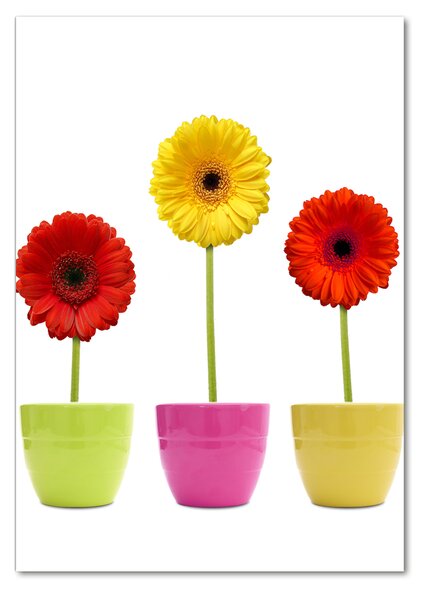 Egyedi üvegkép Színes gerbera