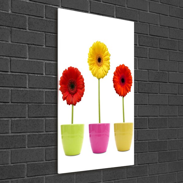 Egyedi üvegkép Színes gerbera