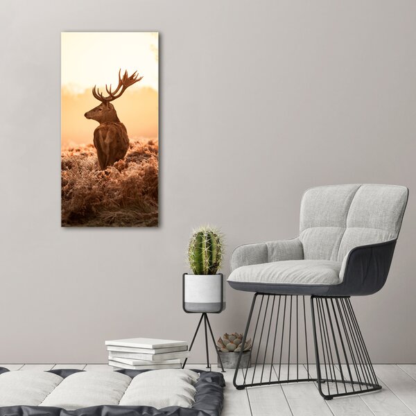Vászonkép Deer napkelte