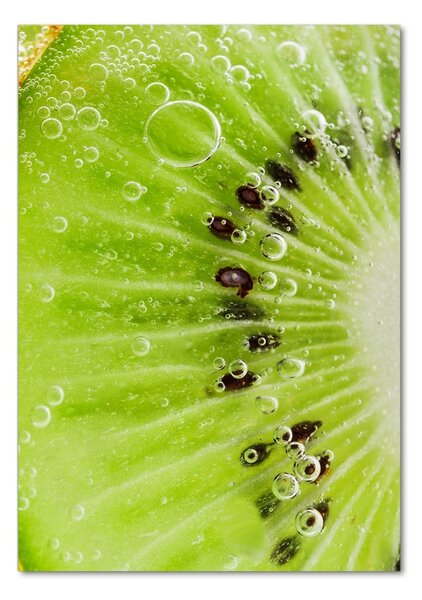Akril üveg kép Kiwi