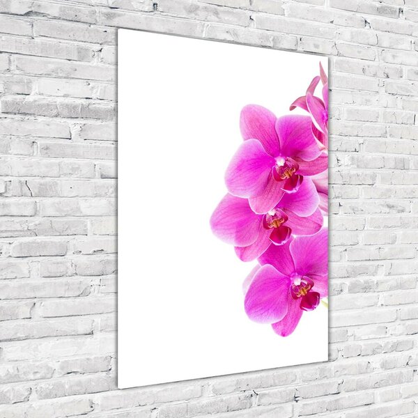 Akrilkép Rózsaszín orchidea