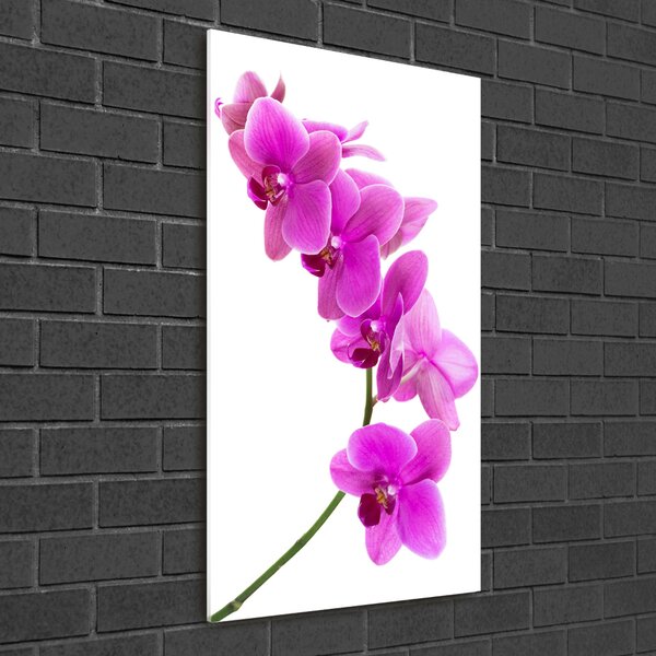 Egyedi üvegkép Rózsaszín orchidea