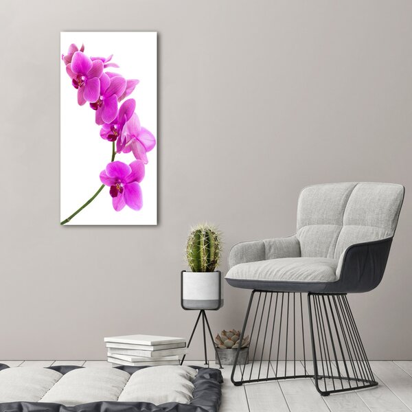 Egyedi üvegkép Rózsaszín orchidea