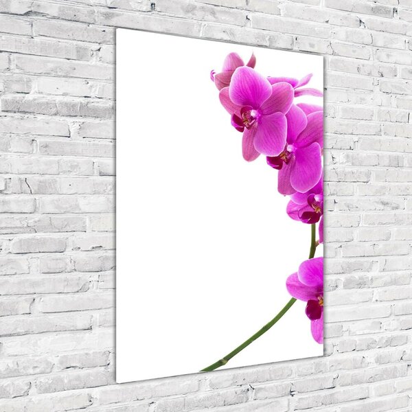 Egyedi üvegkép Rózsaszín orchidea
