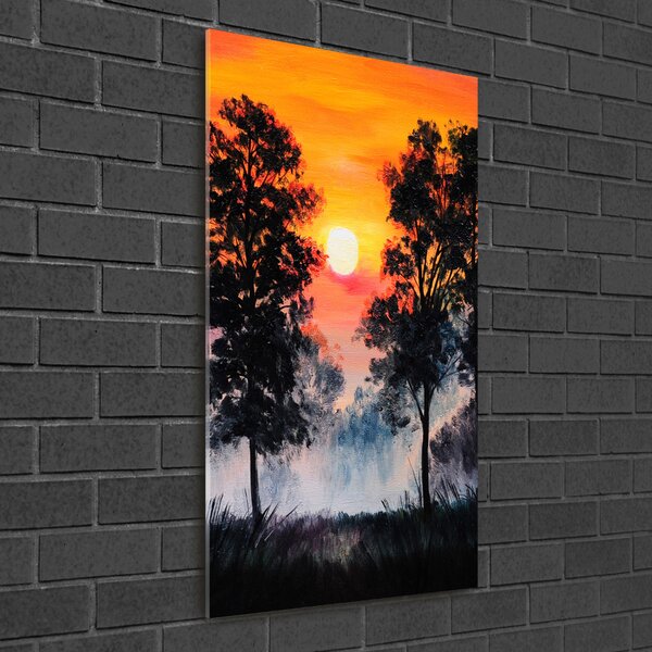 Üvegfotó Sunset erdő