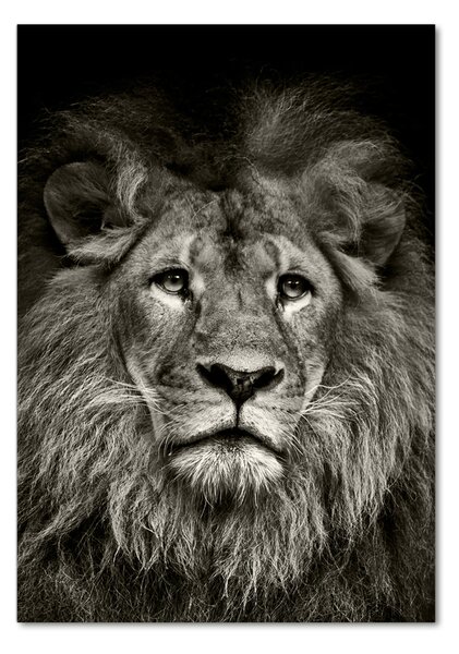 Üvegkép Oroszlán