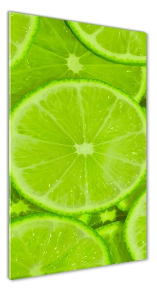Üvegfotó Limes