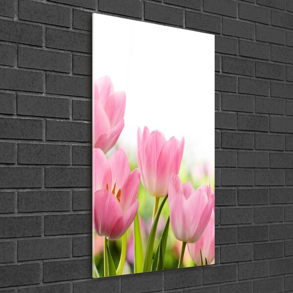 Egyedi üvegkép Rózsaszín tulipánok