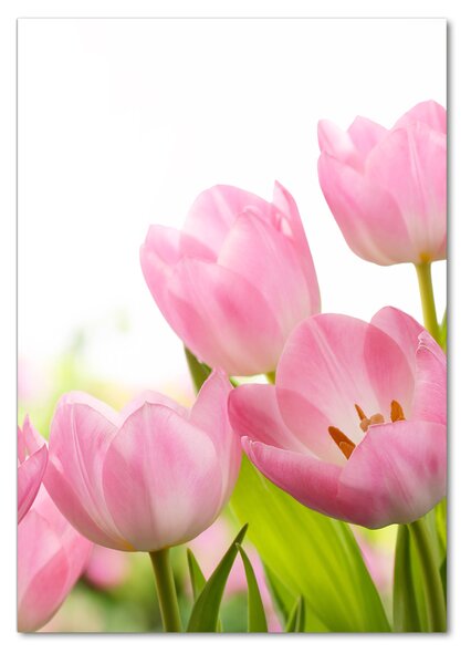 Egyedi üvegkép Rózsaszín tulipánok