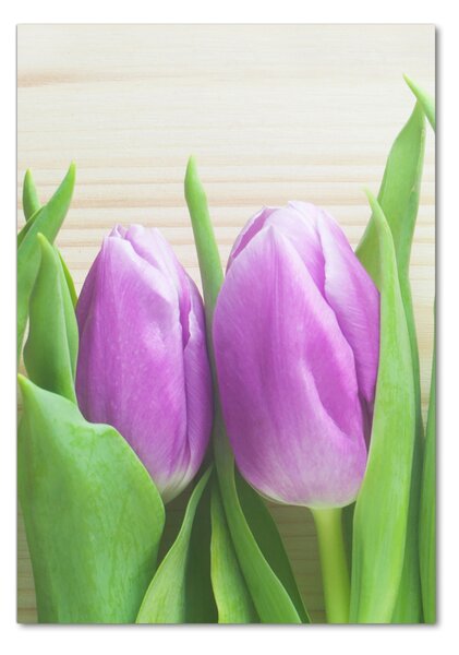 Akrilkép Lila tulipánok