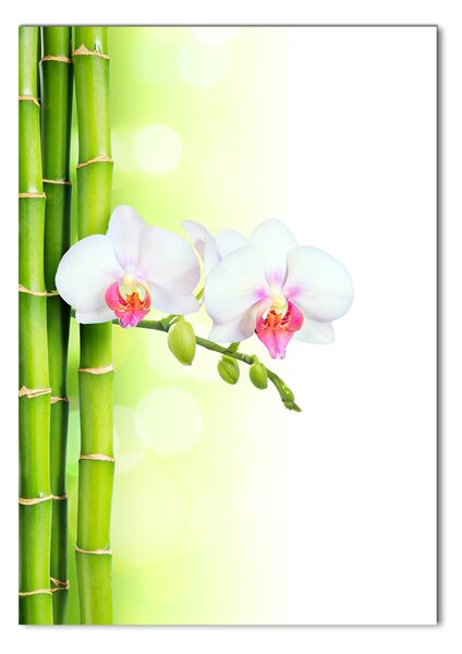 Egyedi üvegkép Orchidea és bambusz