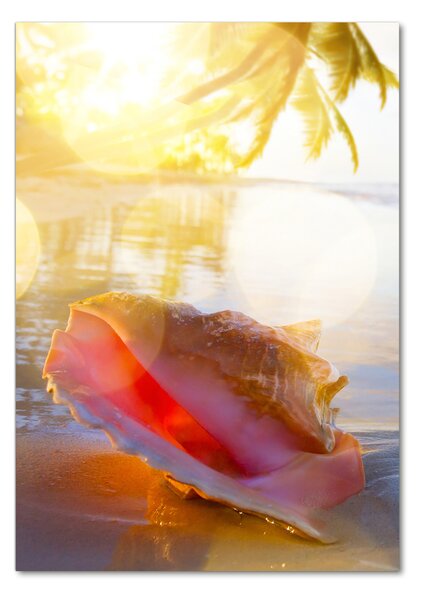 Akril üveg kép Seashell a strandon