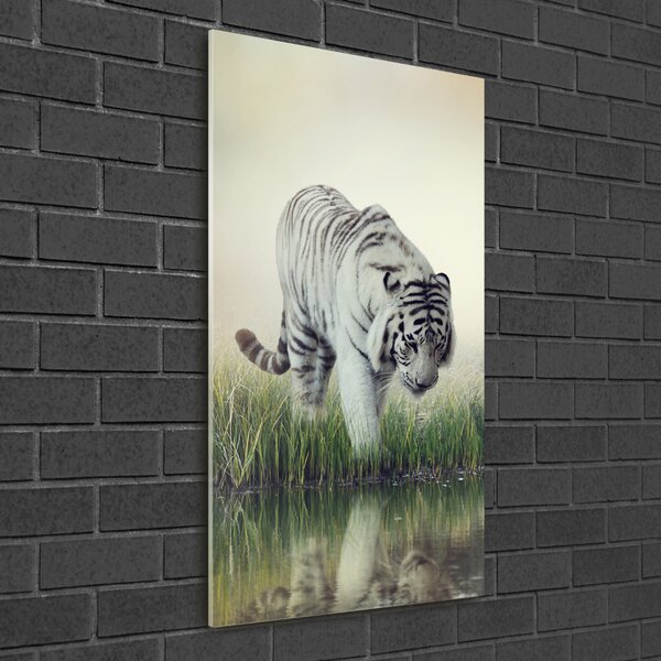 Üvegkép Fehér tigris