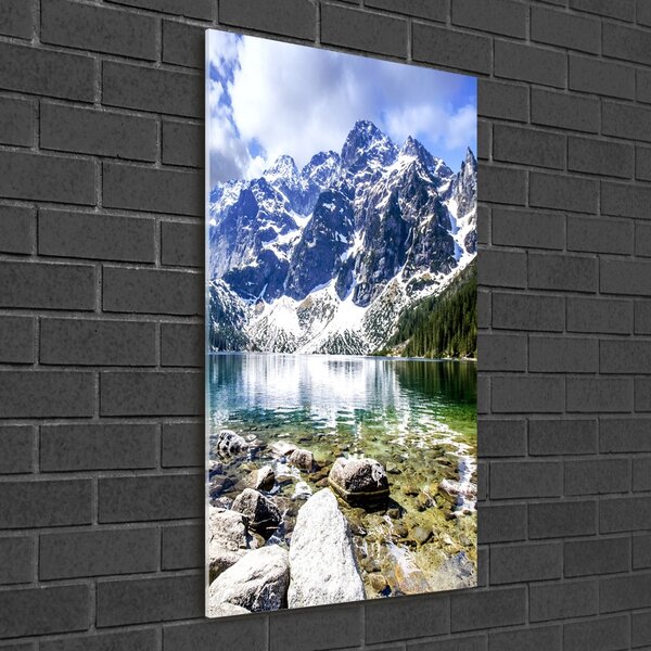 Akril üveg kép Marine szem tatry