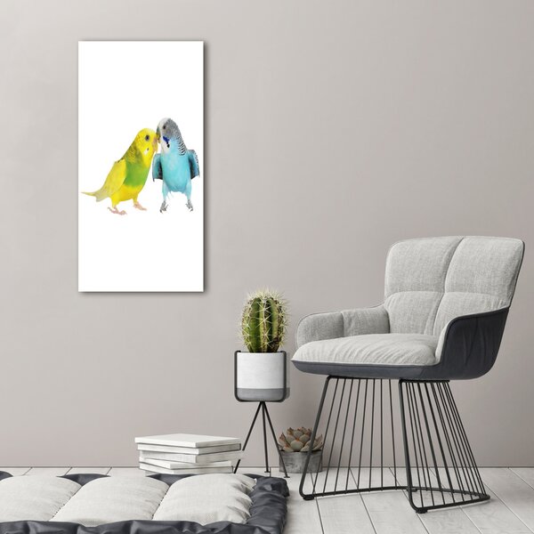 Üvegkép Budgies