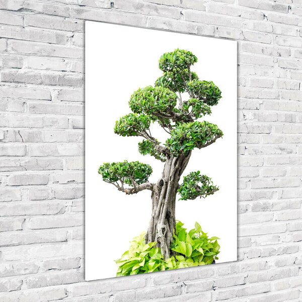 Egyedi üvegkép Bonsai fa