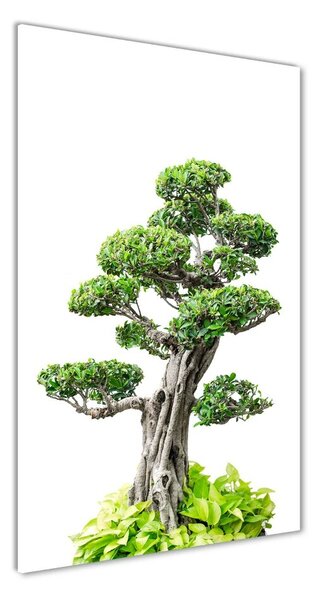 Egyedi üvegkép Bonsai fa