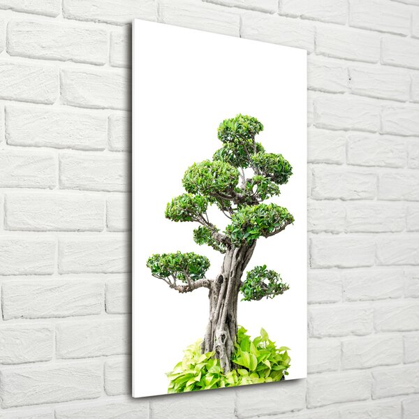 Egyedi üvegkép Bonsai fa