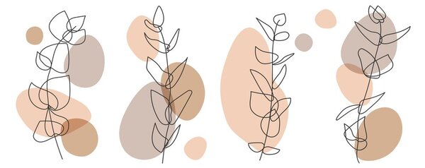 Kép minimalista csendélet növények