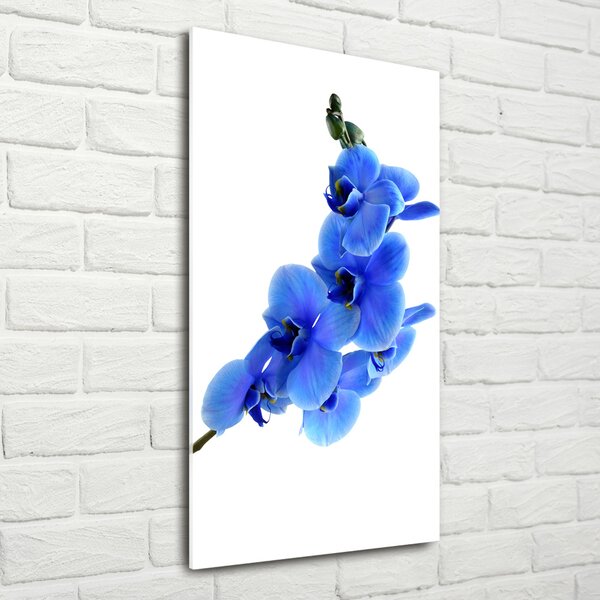 Egyedi üvegkép Kék orchidea