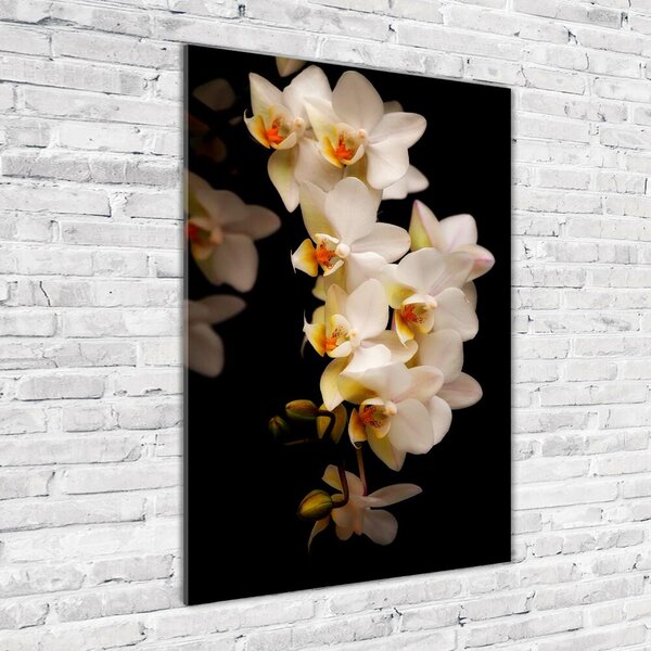 Egyedi üvegkép Orchidea