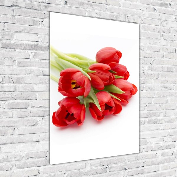 Egyedi üvegkép Piros tulipánok
