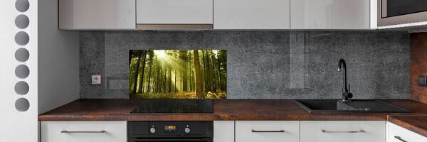 Konyhai dekorpanel Egy fenyves erdőben