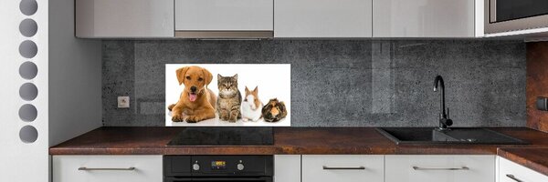 Konyhai fali panel Kutya és macska