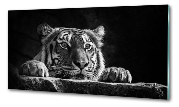 Konyhai fali panel Tigris