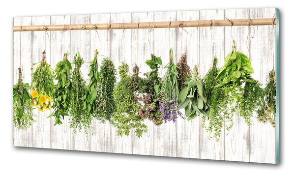 Konyhai falburkoló panel Herbs egy húr