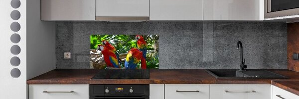 Konyhai fali panel Papagájok ara
