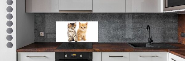 Konyhai fali panel Brown és gyömbér macska