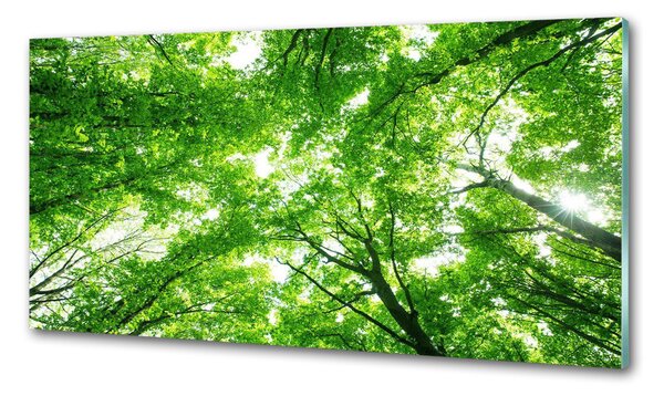 Konyhai falburkoló panel Zöld erdő