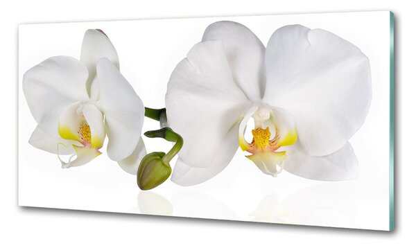 Konyhai falburkoló panel Orchidea