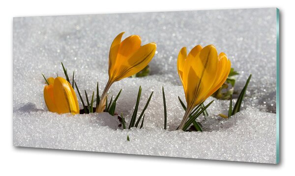 Konyhai falburkoló panel Crocus a hóban