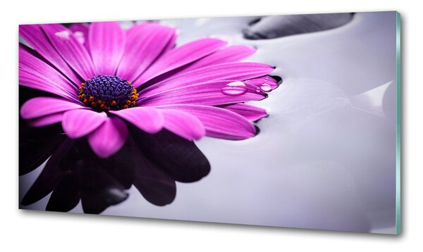 Konyhai falburkoló panel Gerbera