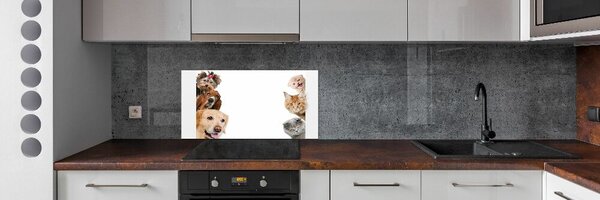 Konyhai fali panel Kutyák és macskák