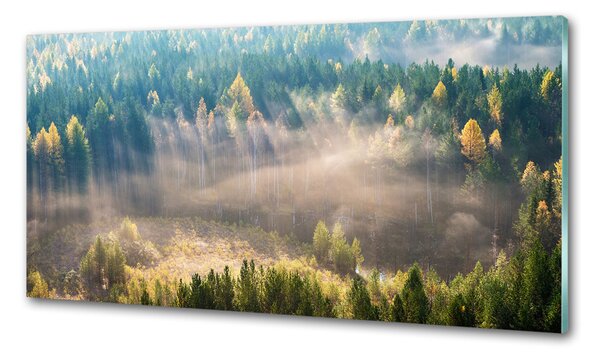 Konyhai dekorpanel Köd az erdőben