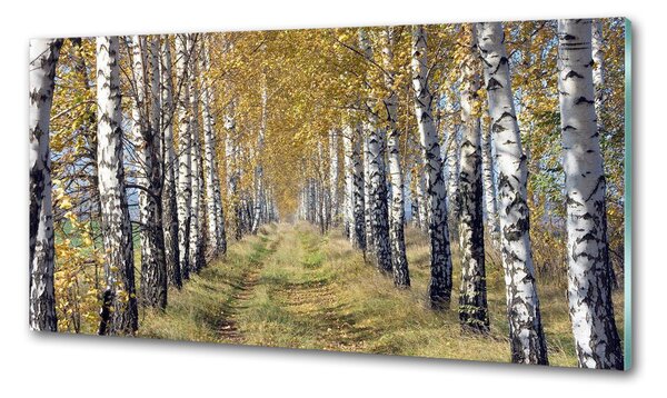 Konyhai dekorpanel Birches ősszel