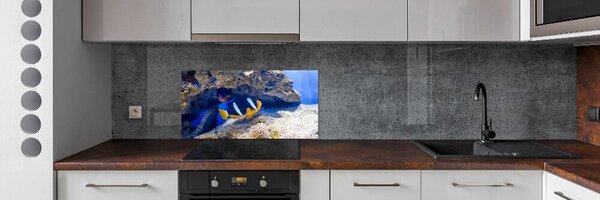 Konyhai fali panel Trópusi hal