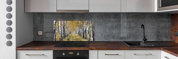Konyhai dekorpanel Birches ősszel
