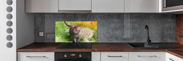 Konyhai fali panel Kitten pitypang