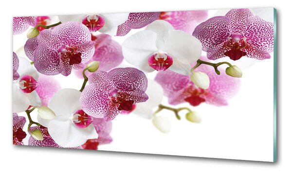 Konyhai falburkoló panel Orchidea