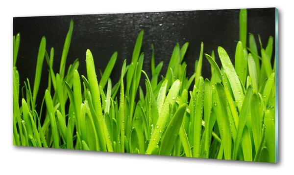 Konyhai falburkoló panel Fű